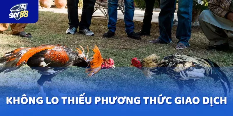 Không lo thiếu phương thức giao dịch